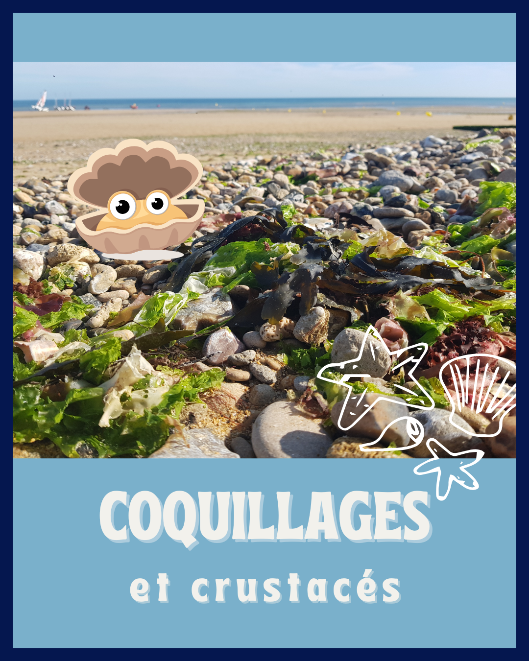 Coquillages & crustacés