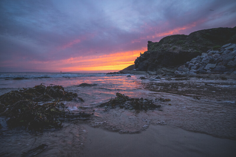 Les chemins du Mont-Saint-Michel - Chemin de Cherbourg - Barneville-Carteret - Denneville