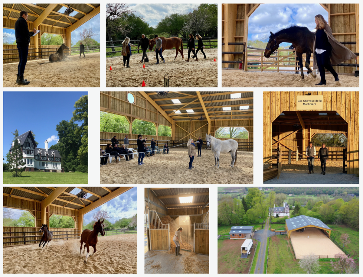 Les Chevaux de la Martinière, Saint-Germain-de-Livet - photo 7