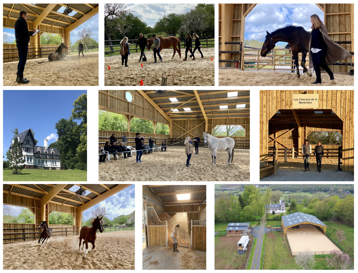 Les Chevaux de la Martinière, Saint-Germain-de-Livet - photo 5