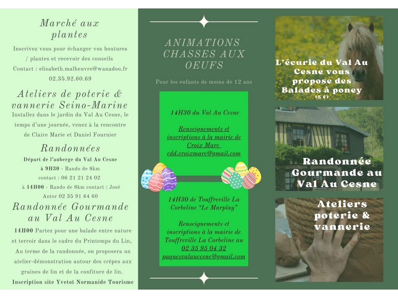 Média additionnel 2