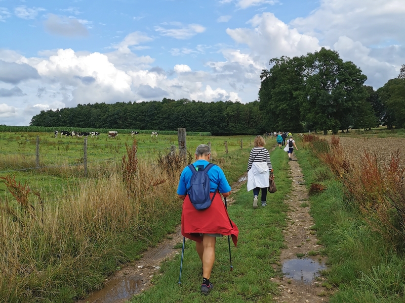 Randonnée découverte entre patrimoine et terroir