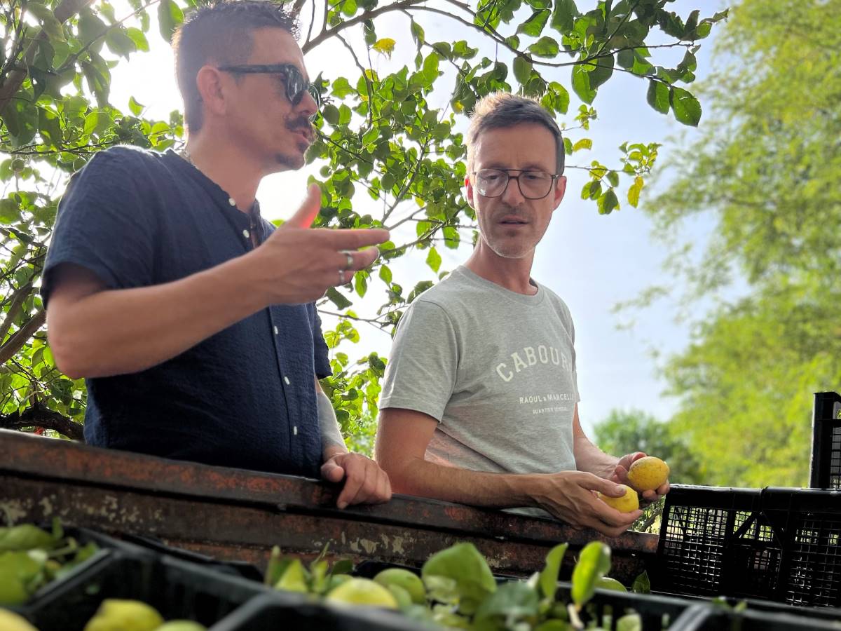 Distillerie Balbec, Moult-Chicheboville - photo 7