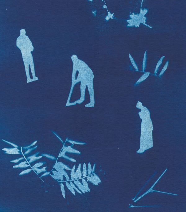 Atelier famille : studio cyanotype