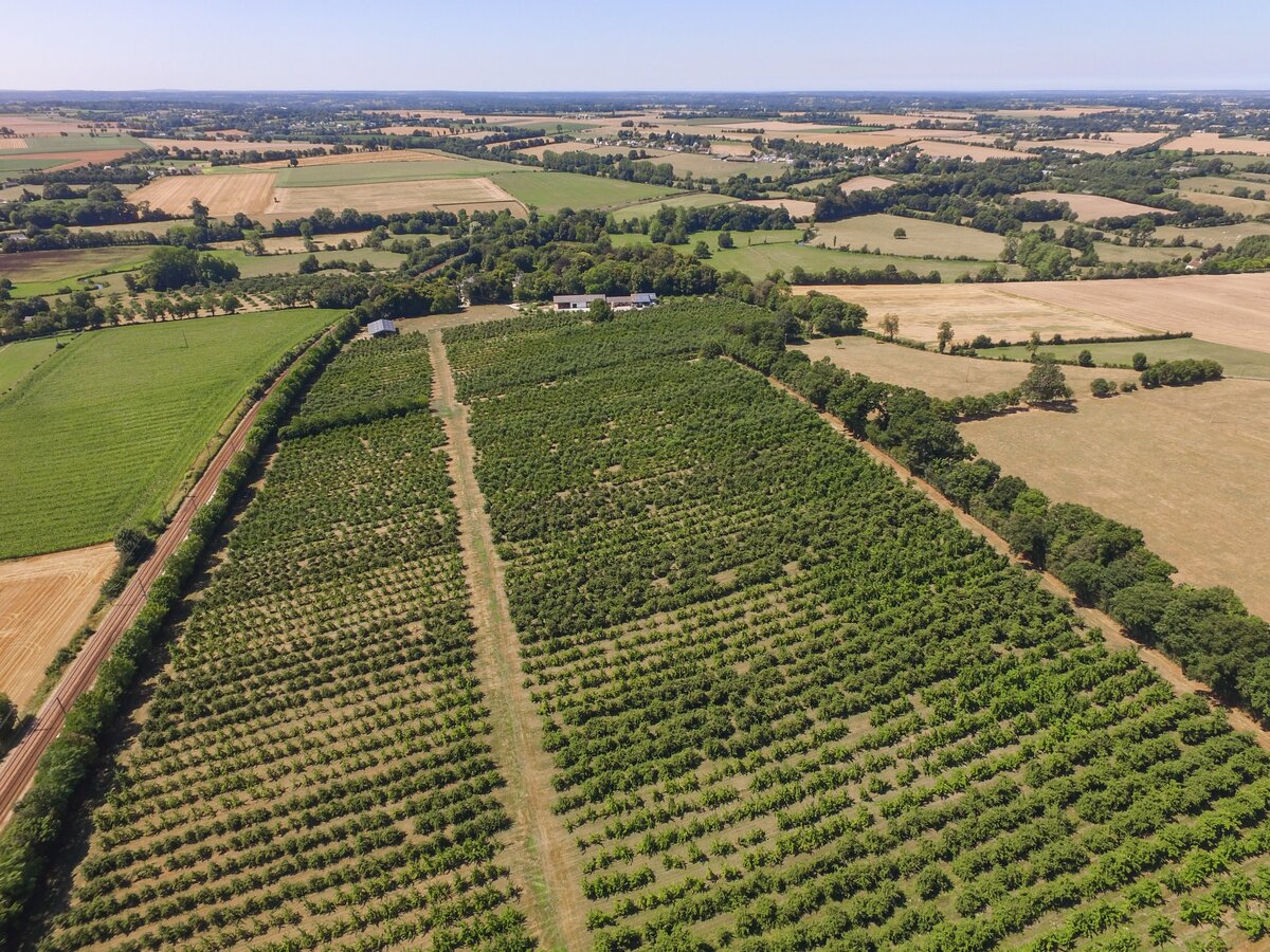 Domaine de la Flaguerie - Les Vergers de Ducy, Ducy-Sainte-Marguerite - photo 5