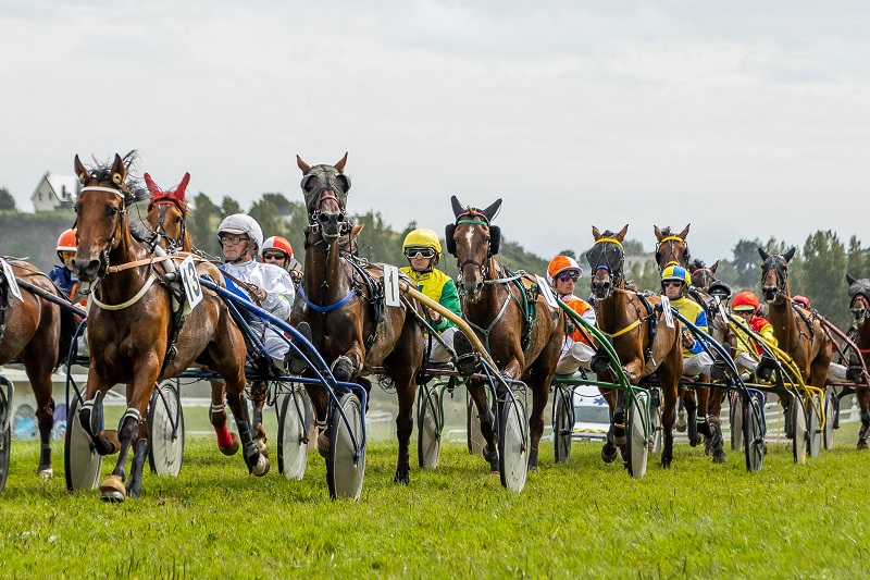 Société des courses de Granville, Bréville-sur-Mer - photo 5