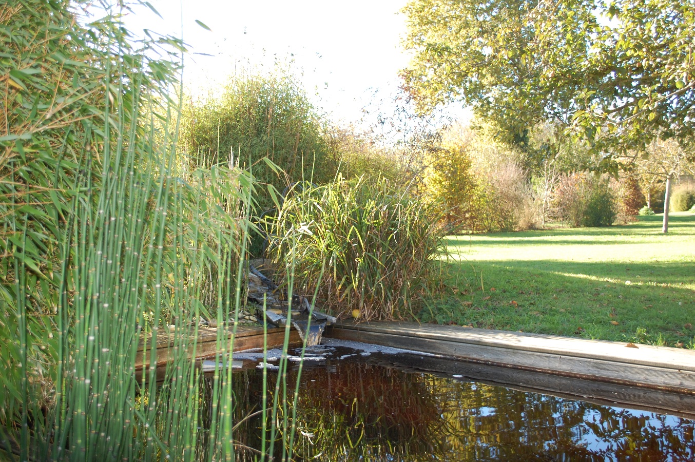 Le Clos des pommiers, Tracy-sur-Mer - photo 3