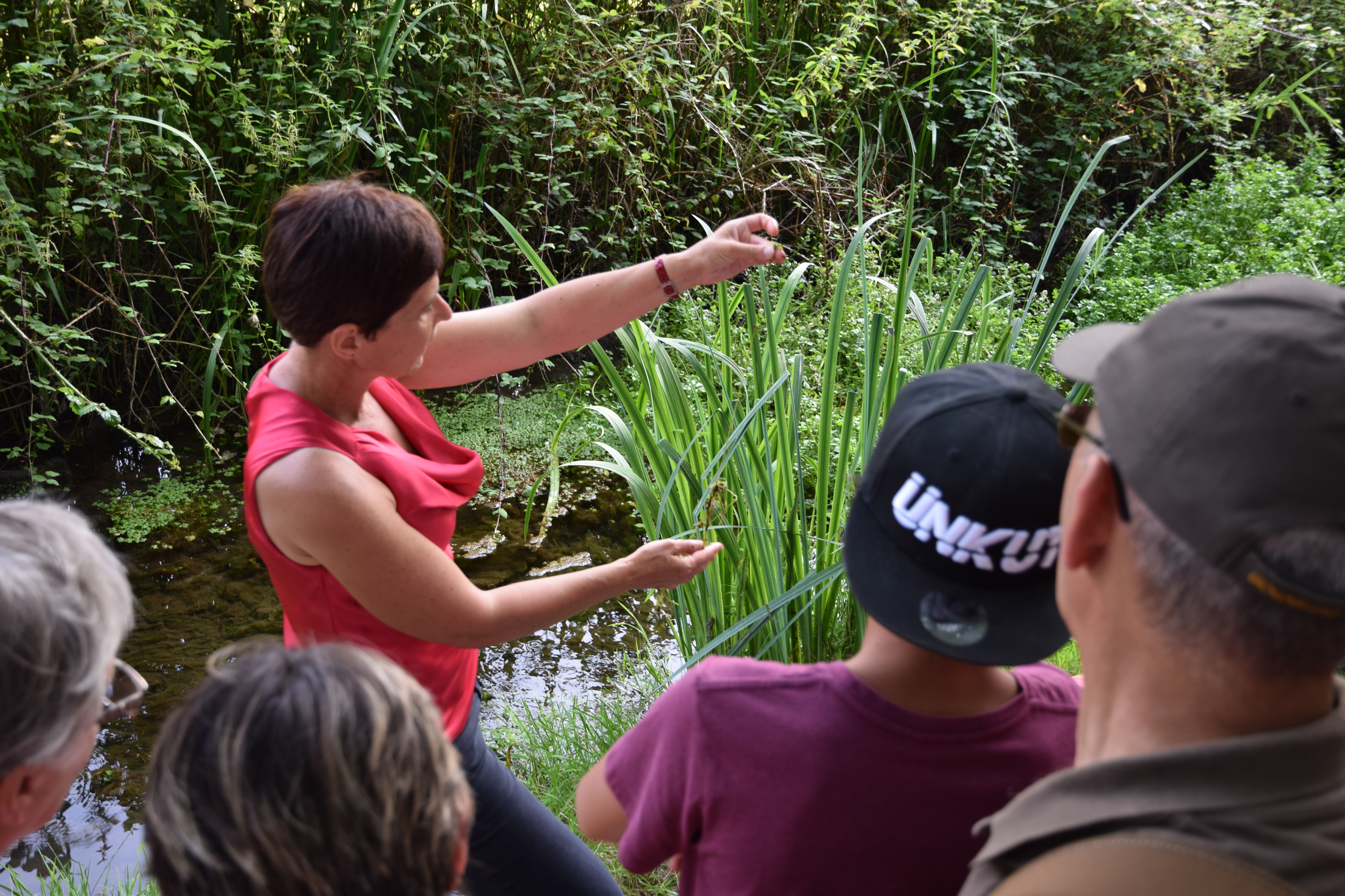 Le lac du Gast, Noues de Sienne - photo 2