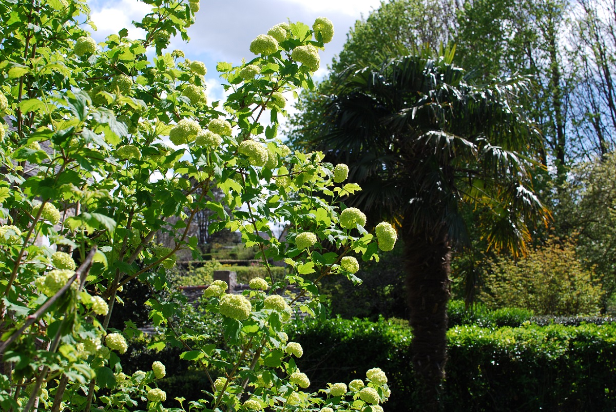 Meublé de tourisme > Gîte le Pressoir, Flamanville - photo 4