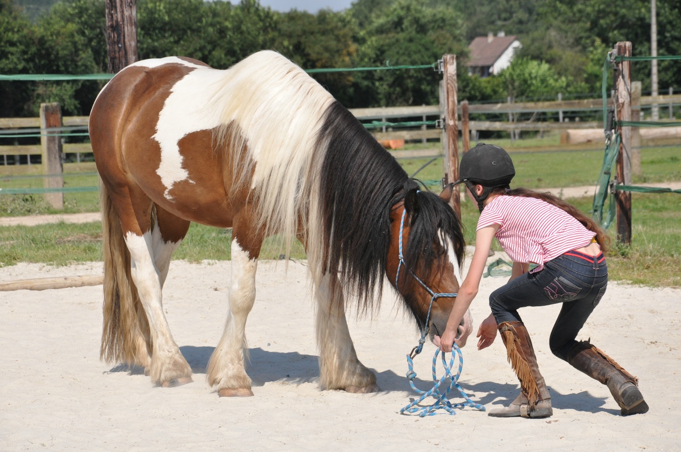 Stage enfant 8-11 ans "Chuchoteur en herbe" (6 jours) au Domaine de Firfol, Firfol