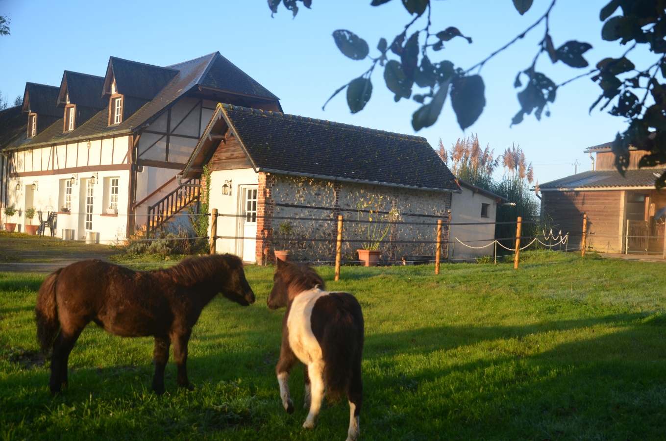 Haras de la Griserie