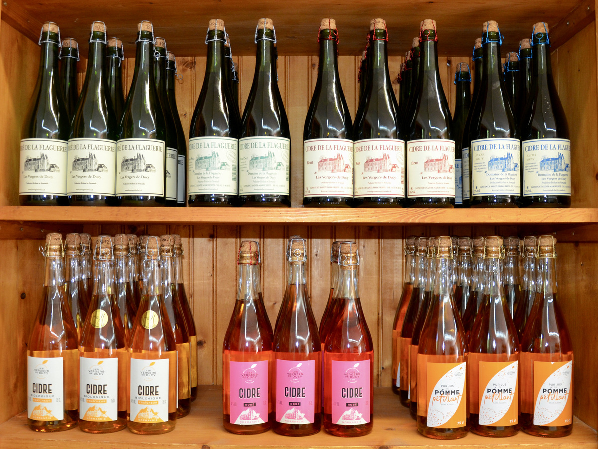 Domaine de la Flaguerie - Les Vergers de Ducy, Ducy-Sainte-Marguerite - photo 3