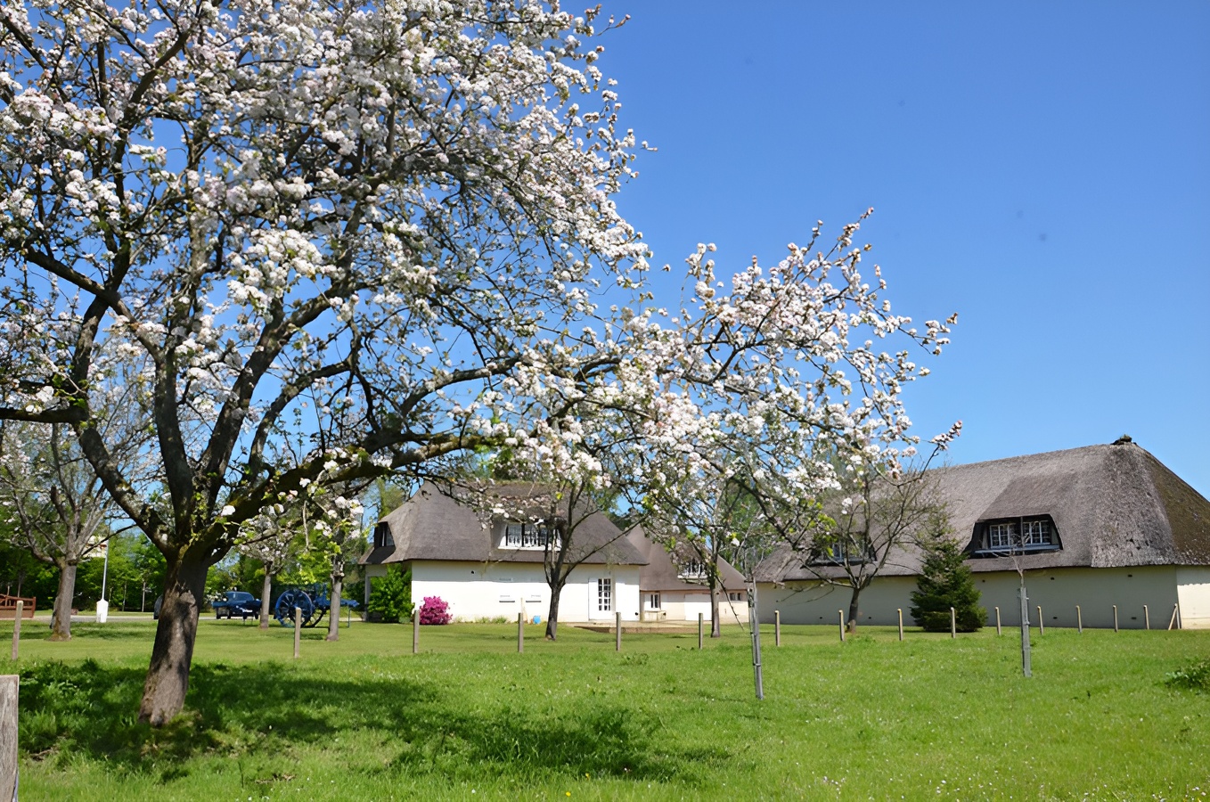 Domaine de la Pommeraie, Gonneville-sur-Honfleur - photo 6