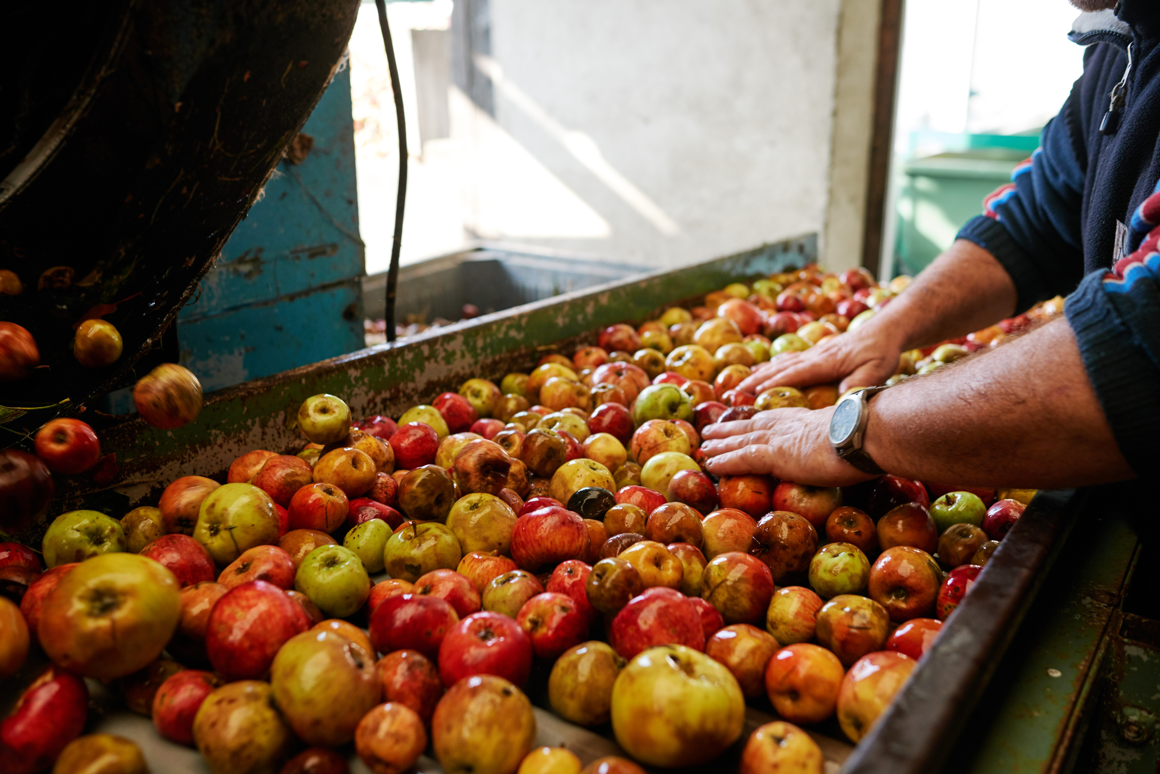 Calvados Pierre Huet, Cambremer - photo 12