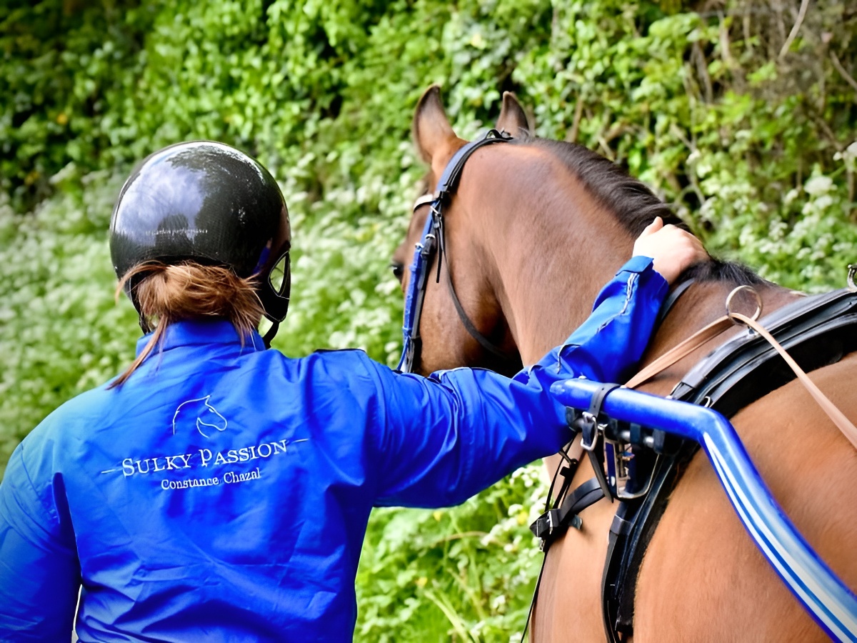Sulky Passion