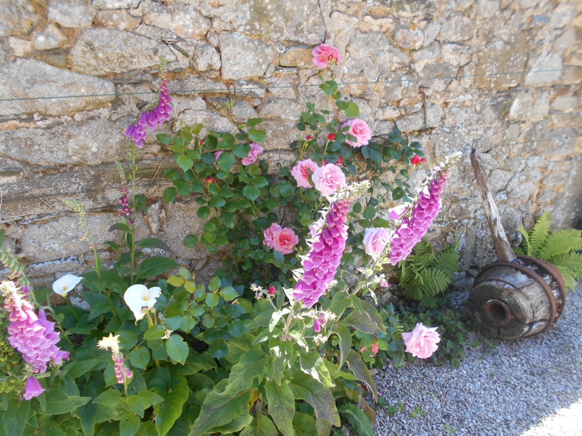 Meublé de tourisme > Le gîte de la Ferme des Bois, Le Vast - photo 9