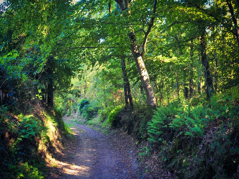 De l'Ajon à l'Odon, Landes-sur-Ajon - photo 4