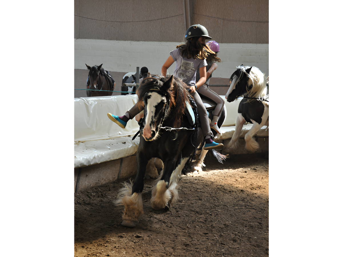 Stage ado 12-18 ans "Chuchoteur en demain" (6 jours) au Domaine de Firfol, Firfol