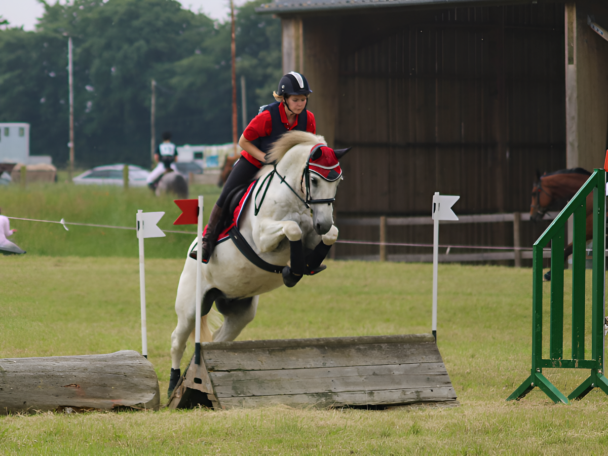 Stage ado 12-18 ans "Immersion en Scolarité et Pratique Sportive Intensive" (6 jours) au Domaine de Firfol, Firfol - photo 2