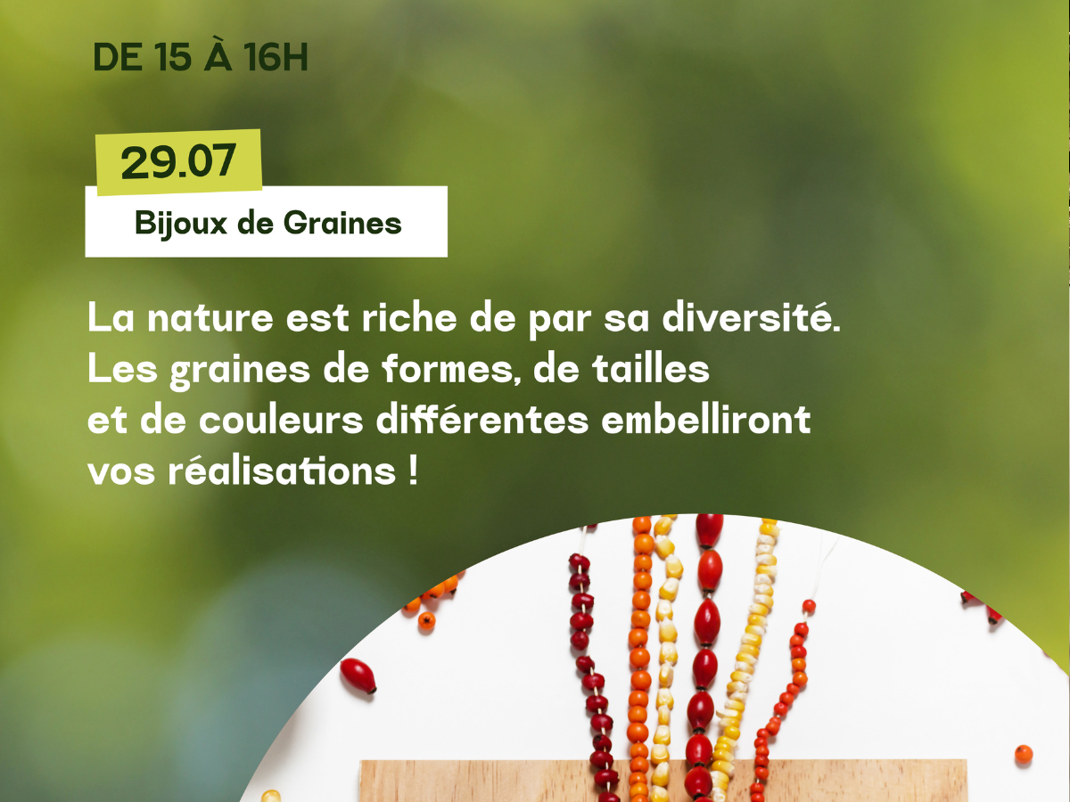 Média additionnel 1
