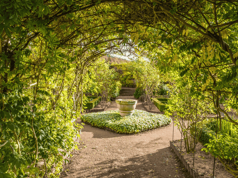 Balade sensorielle et gourmande au jardin