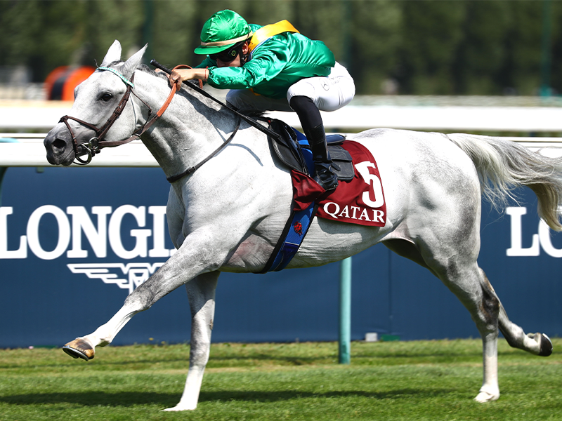 Al Rayyan Cup Prix Kesberoy & Doha Cup Prix Manganate - Meeting de Deauville Barrière