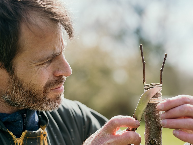 Domaine de l'Orogale