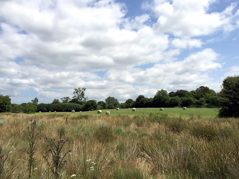 Réserve naturelle de la Sangsurière et de l'Adriennerie