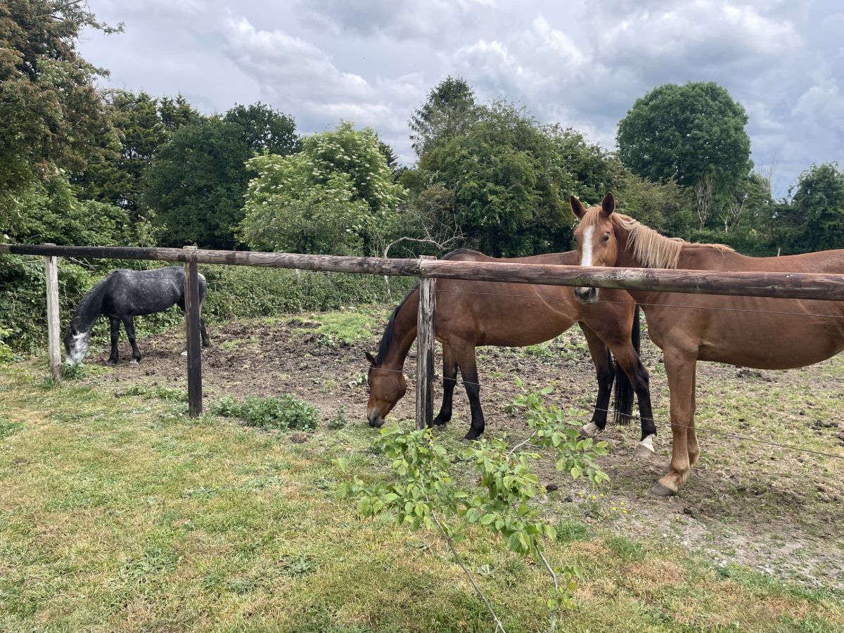 Meublé de tourisme > Gîte de la Gare