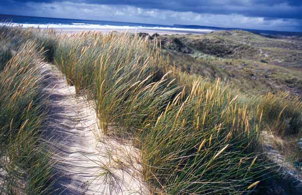 Dunes d'Hatainville
