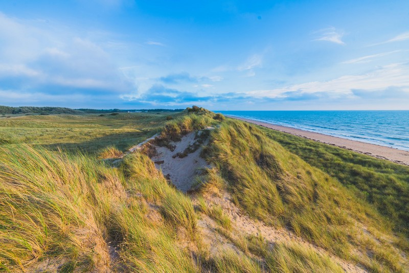 Les Dunes d'Annoville