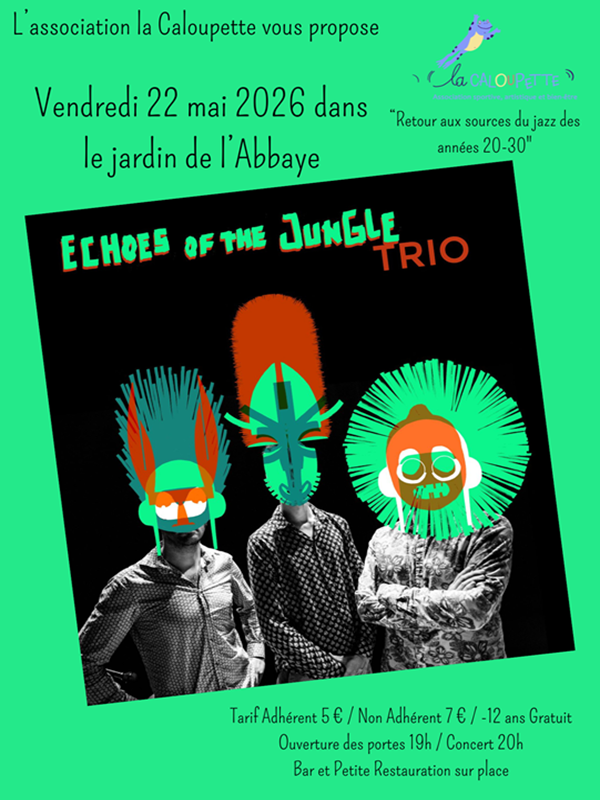 Concert "Echoes of the jungle trio"