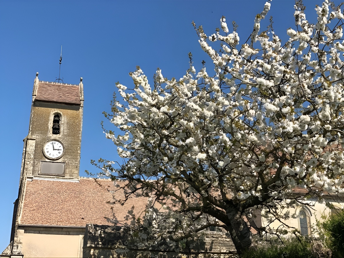 Image de la promenade