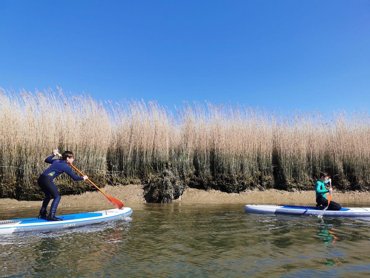 Location & Cours - Paddleboard, Courseulles-sur-Mer - photo 5