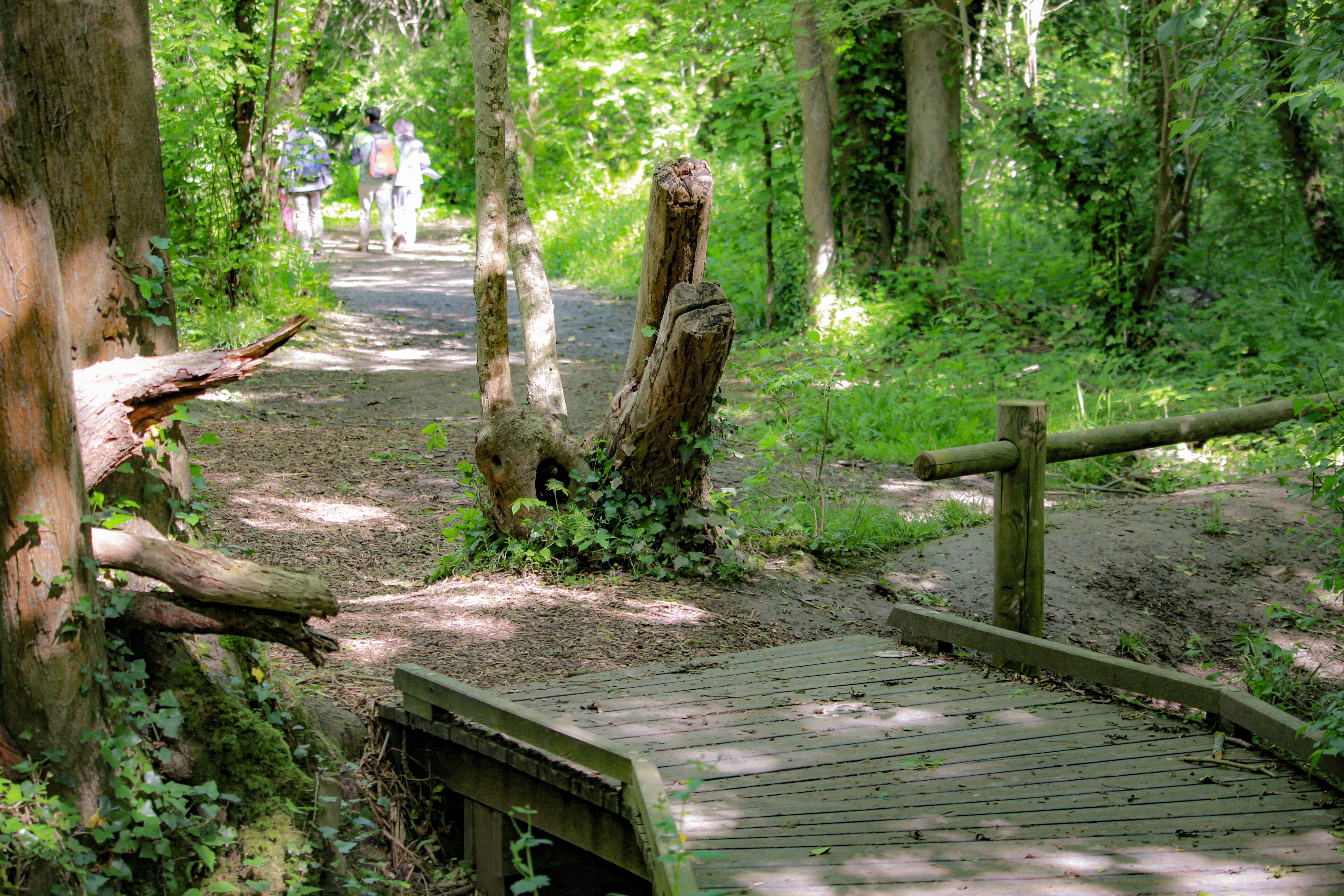 Image de la promenade