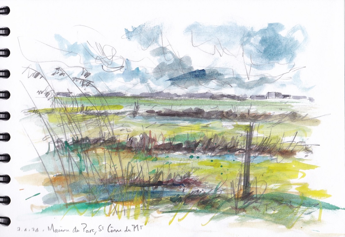 Croquis dans les marais