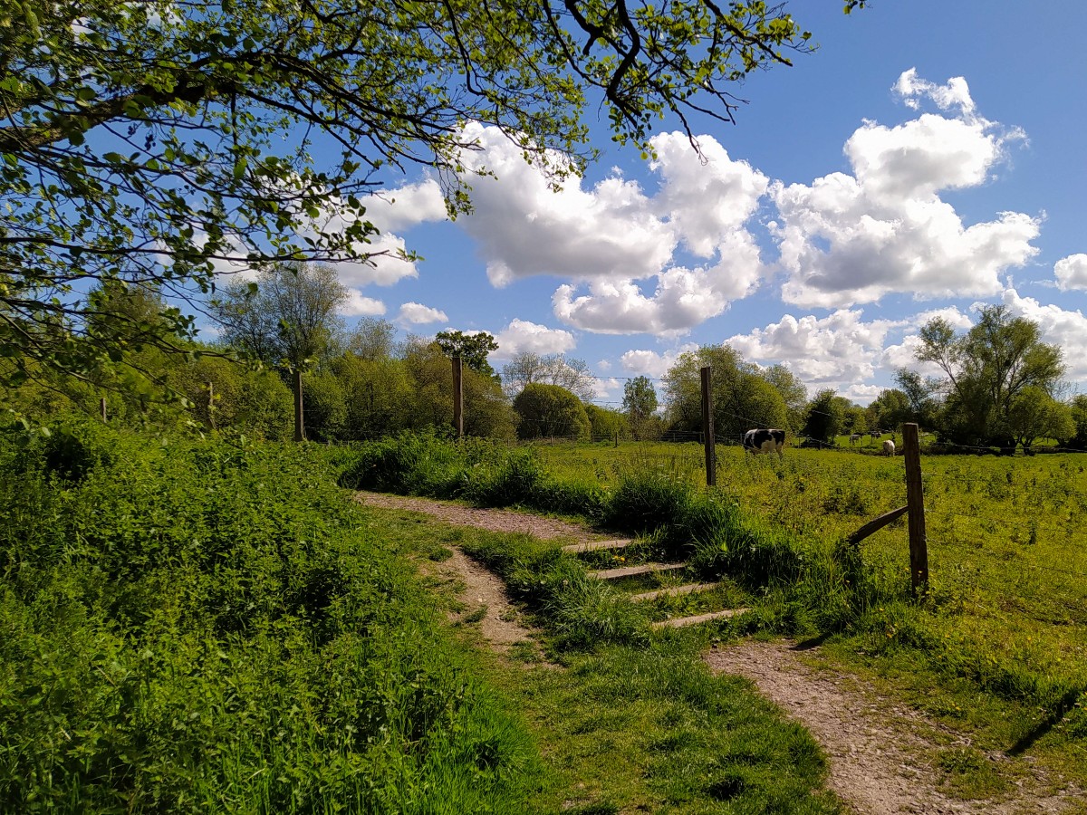 La vallée de l'Aure, Bayeux - photo 3