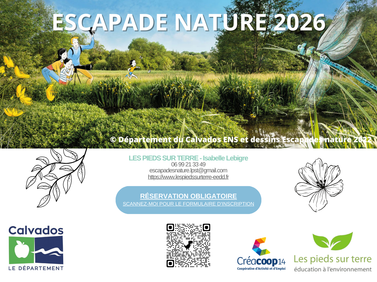 A la découverte des petites bêtes du mont Castel