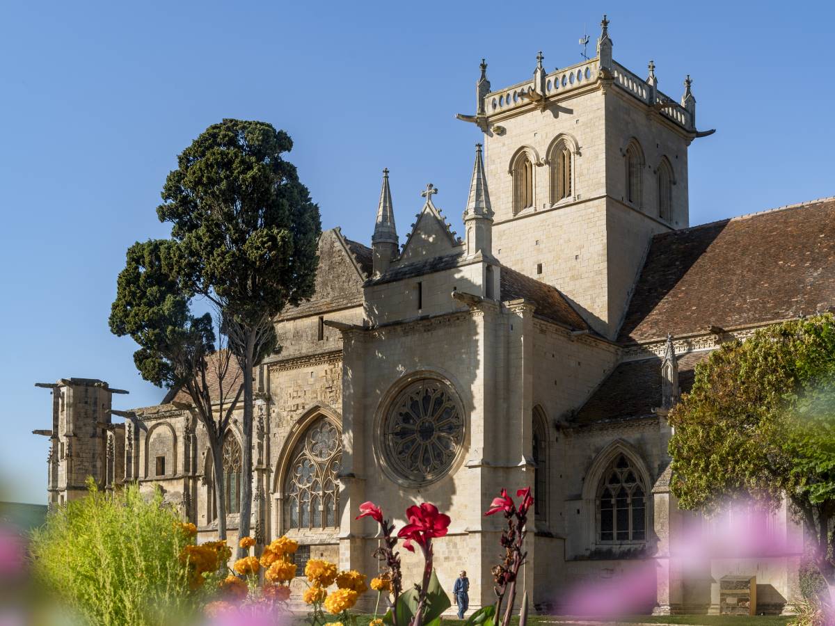 Image de la promenade