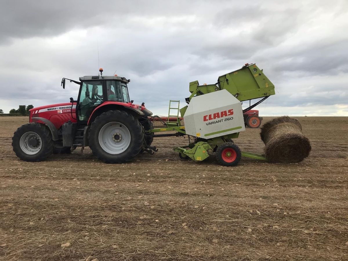 Ferme Saint-Vaast – Fibre de lin, Le Castelet - photo 3