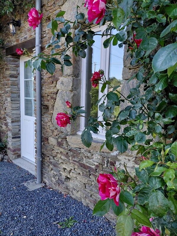 Meublé de tourisme > Gîte des Hortensias