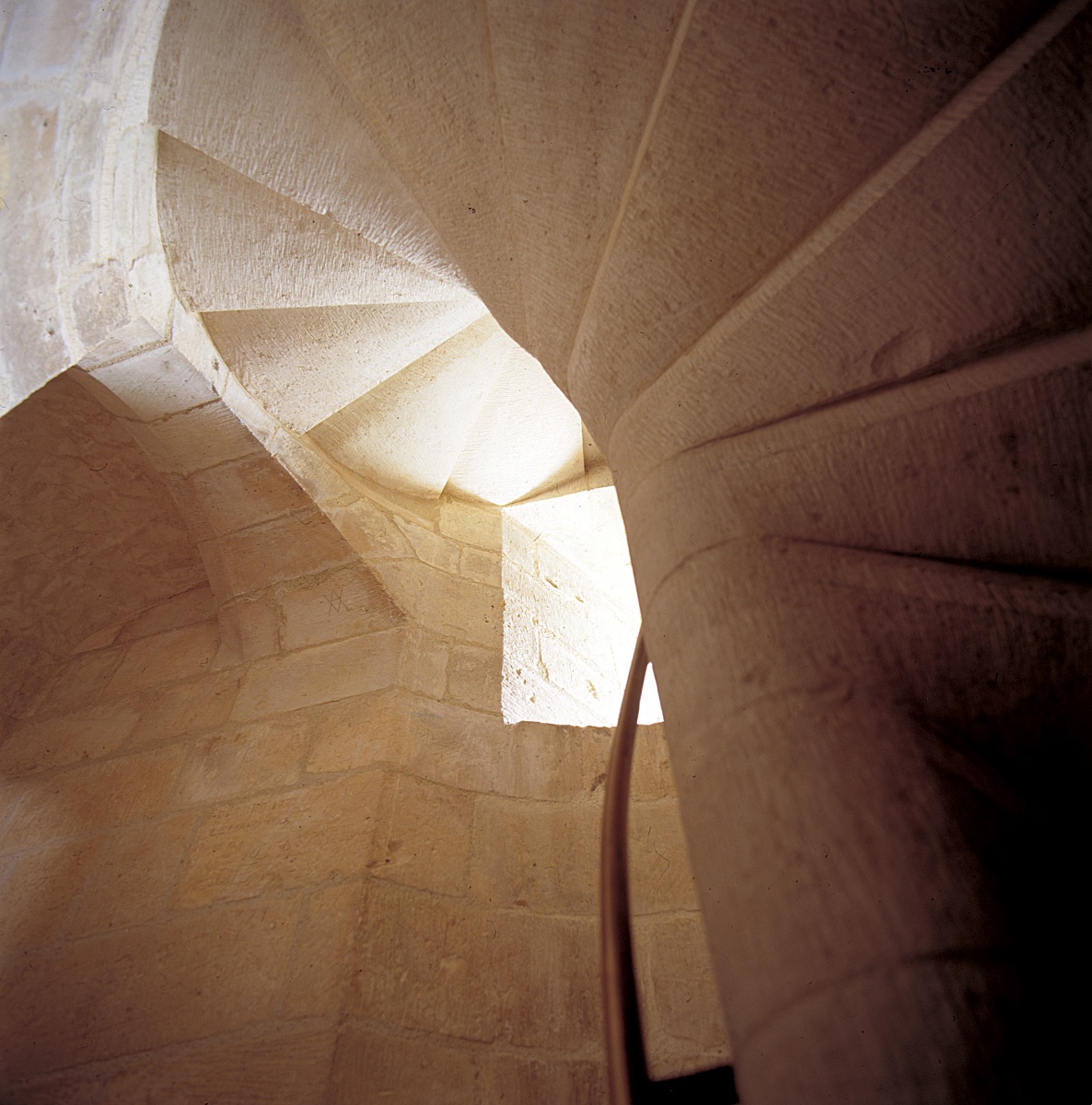 Château Guillaume-le-Conquérant, Falaise - photo 32