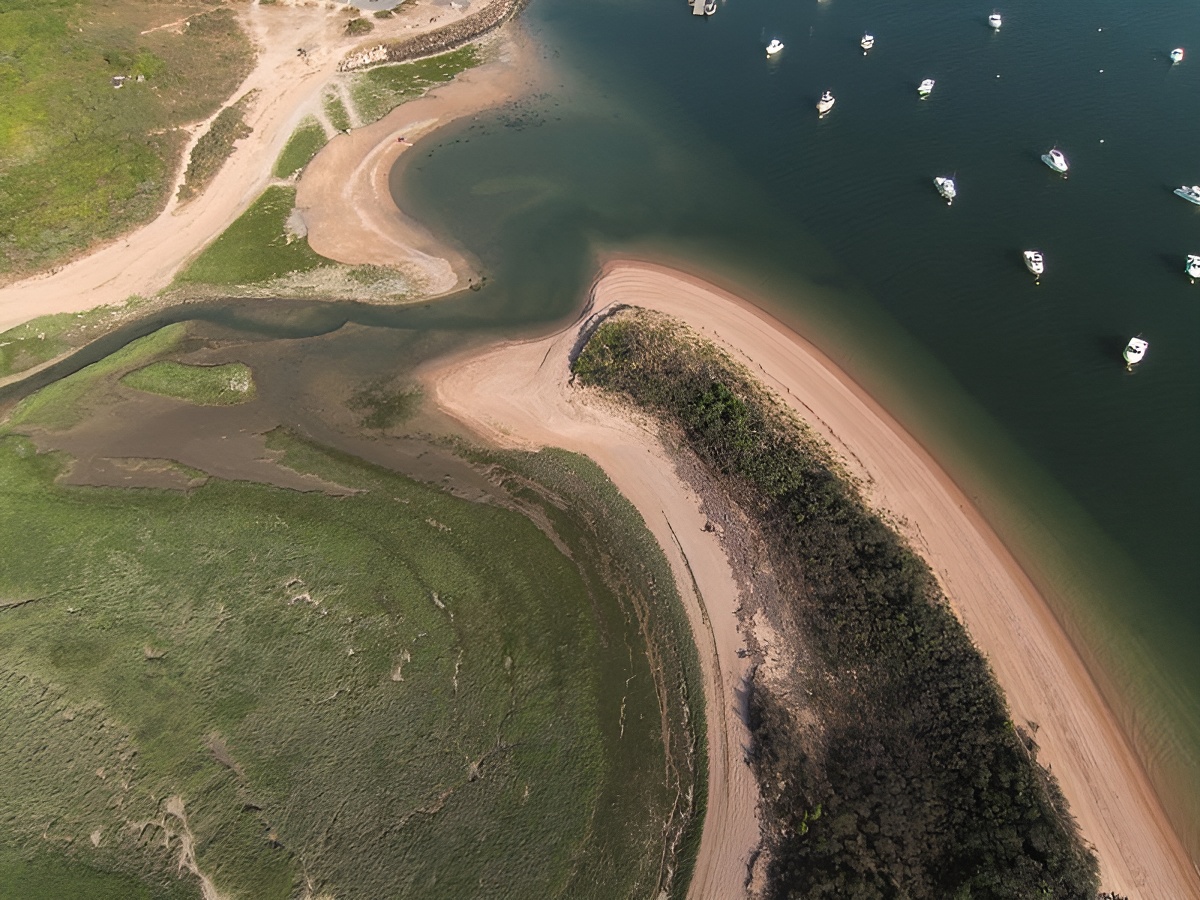 L'estuaire de l’Orne, Sallenelles - photo 5