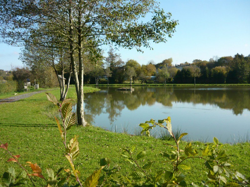 Etang de Marigny-le-Lozon