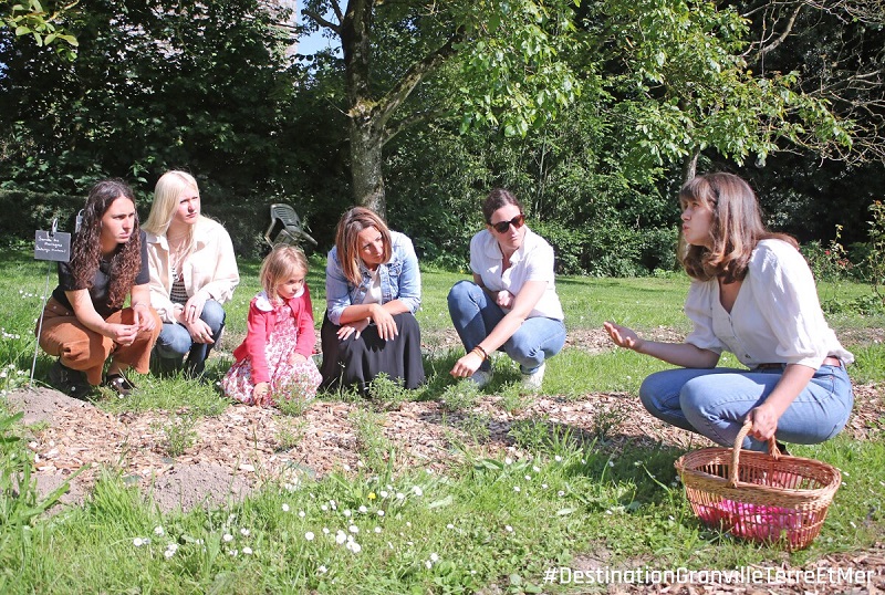 Anthemis Cosmétiques Paysans - photo 2