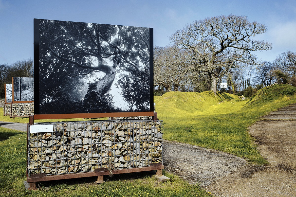 Le Tourp, Maison de la Hague, La Hague - photo 20