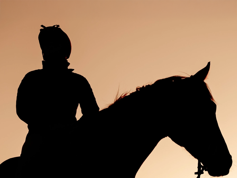 Les Equidays : Exposition "Le cheval pur-sang à Deauville"