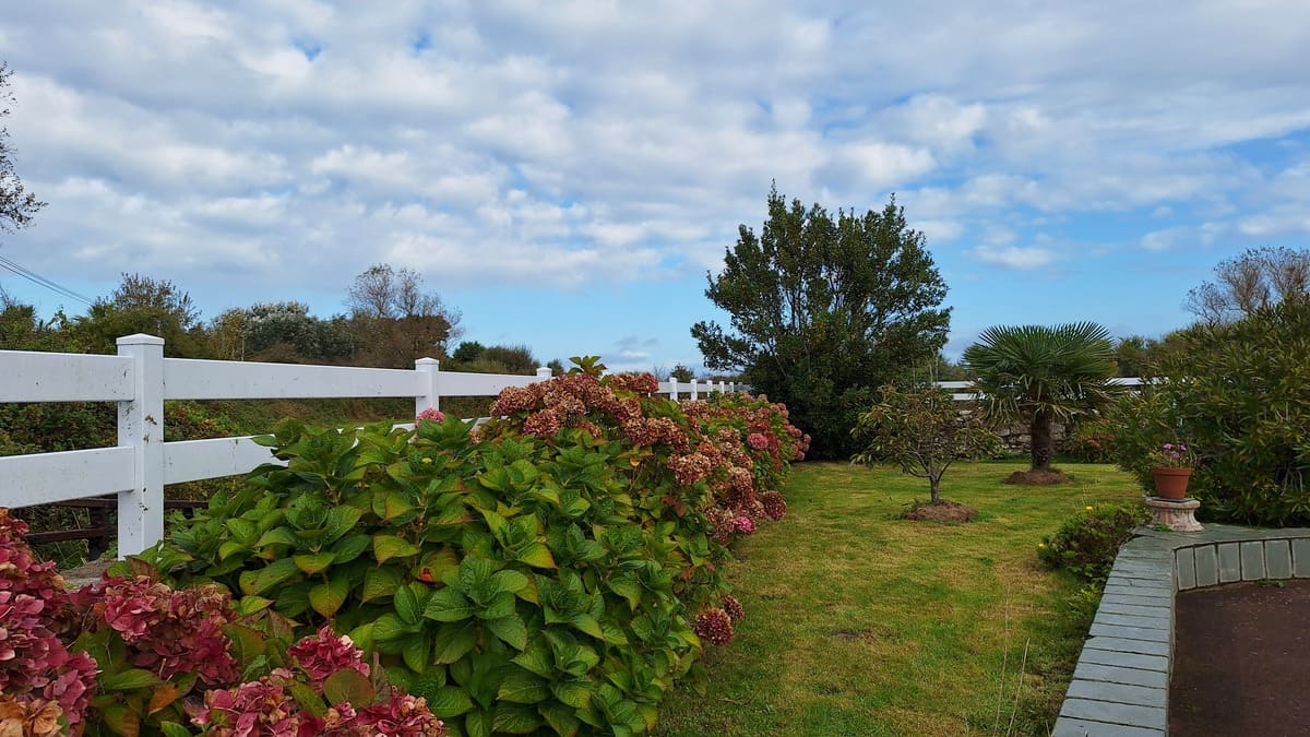 Meublé de tourisme > La Maison au Bord de la Mer, Vicq-sur-Mer - photo 9