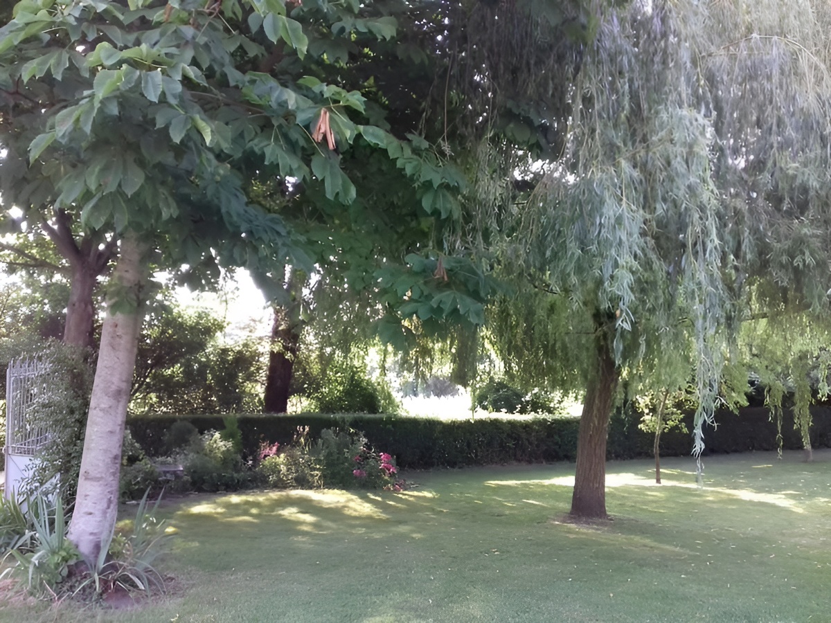 La P'tite maison du lavoir, Saint-Pierre-en-Auge - photo 7