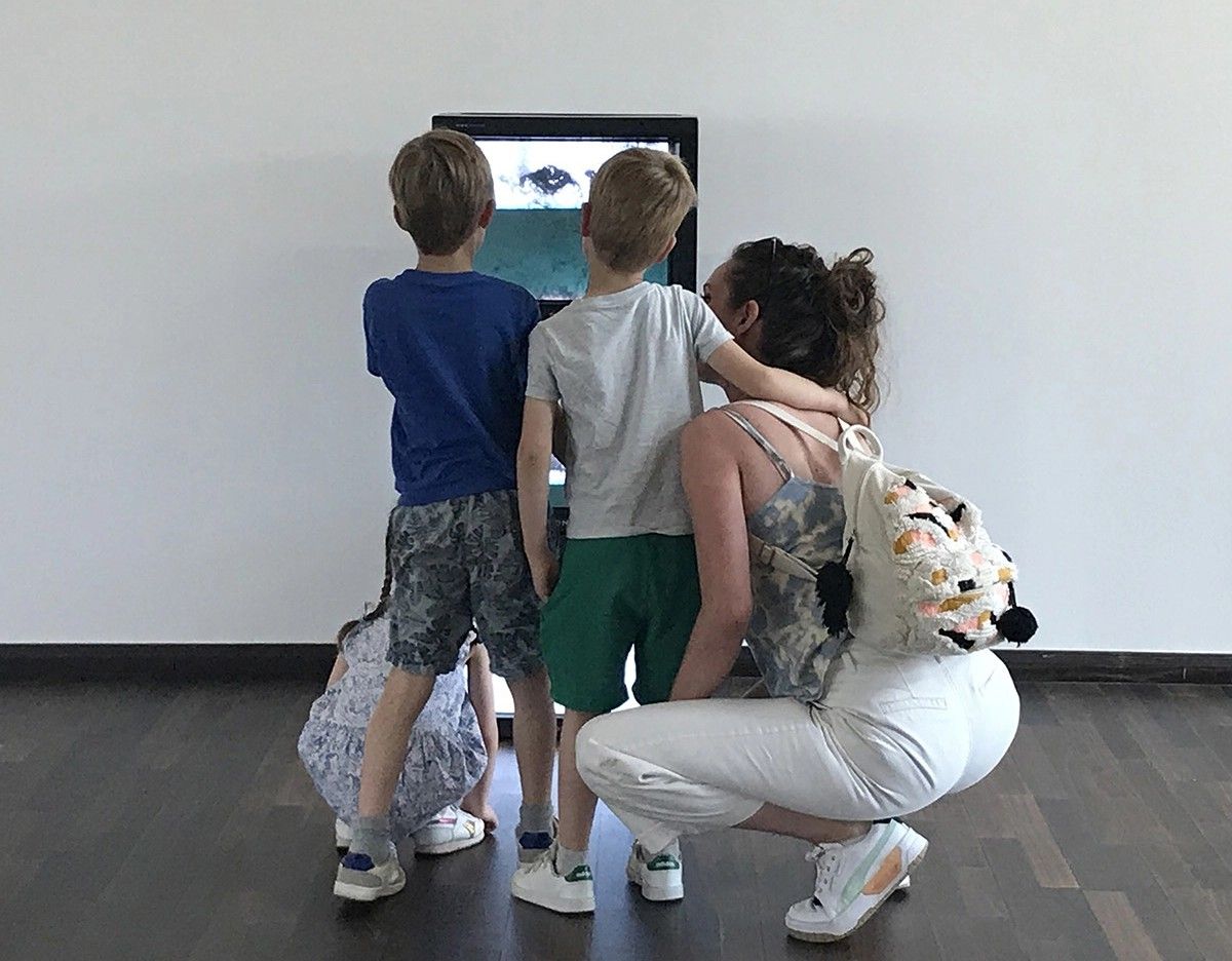 Les Étonnants Patrimoines : Visite / Atelier famille (5-99 ans) au FRAC